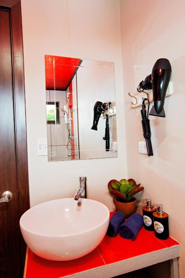 Casa Suculenta ,Monteverde Con Jacuzzi Privado Y Lavanderia Buitenkant foto